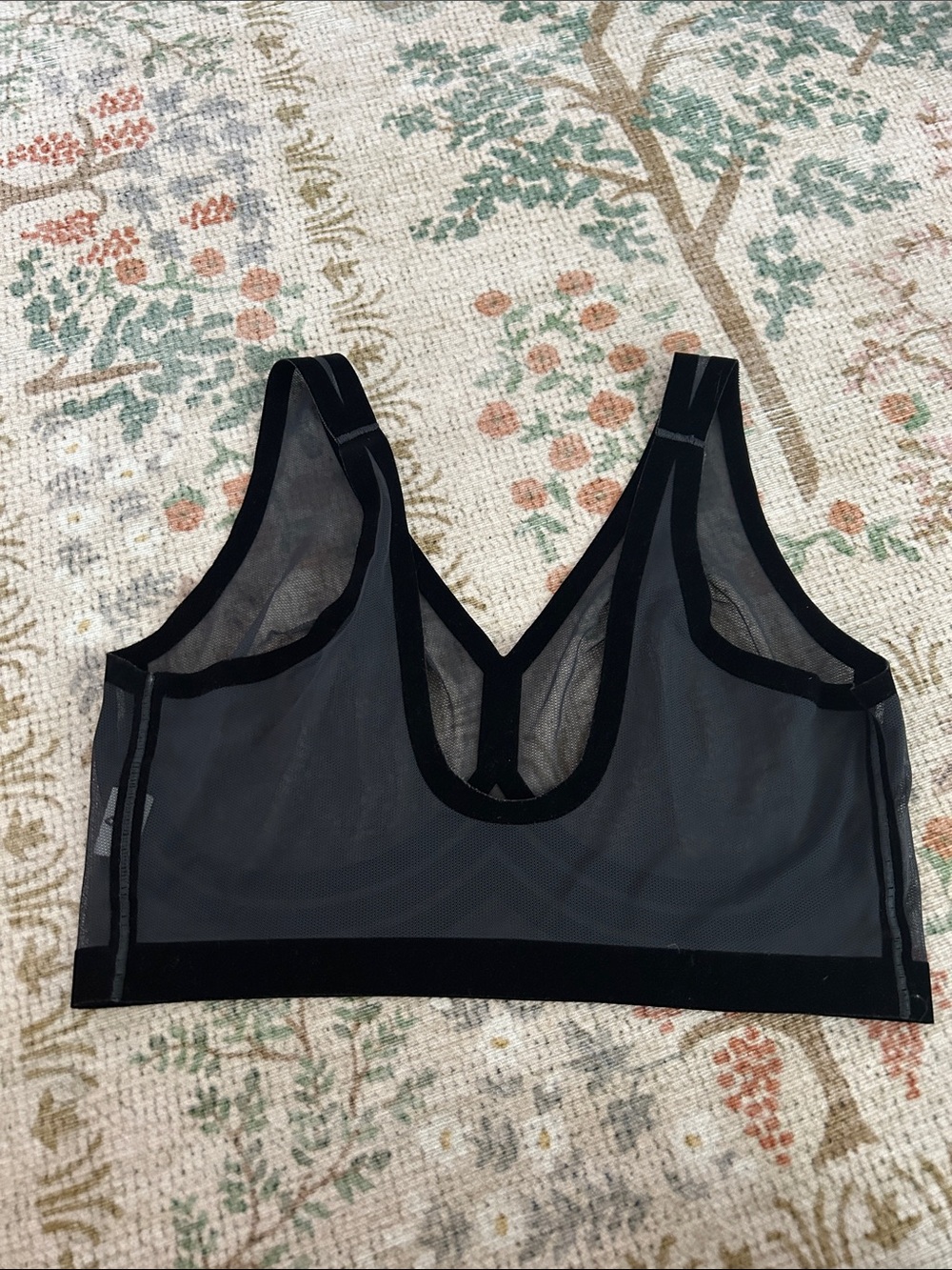 EBY Sheer Black Mesh Bralette with Velvet Trim - Picture 2 of 3